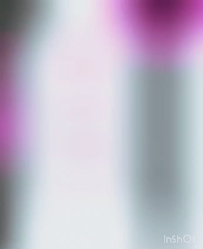 SECADOR DE CABELLO PROFESIONAL - LOMIC SLOPEHILL 1800W